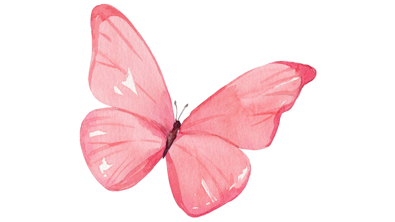 Hub - Starthub Twelve